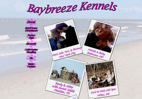 Baybreeze Kennels Baybreeze Kennels